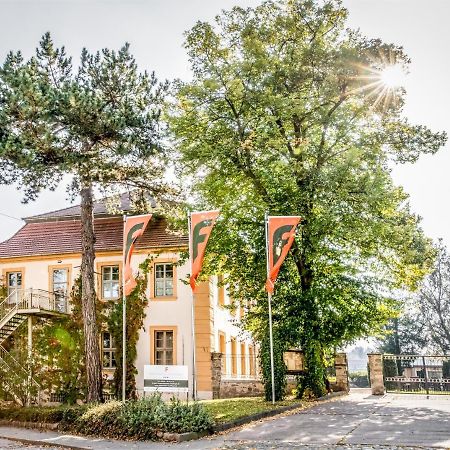 Stadtschloss Hecklingen*** Hecklingen  Εξωτερικό φωτογραφία